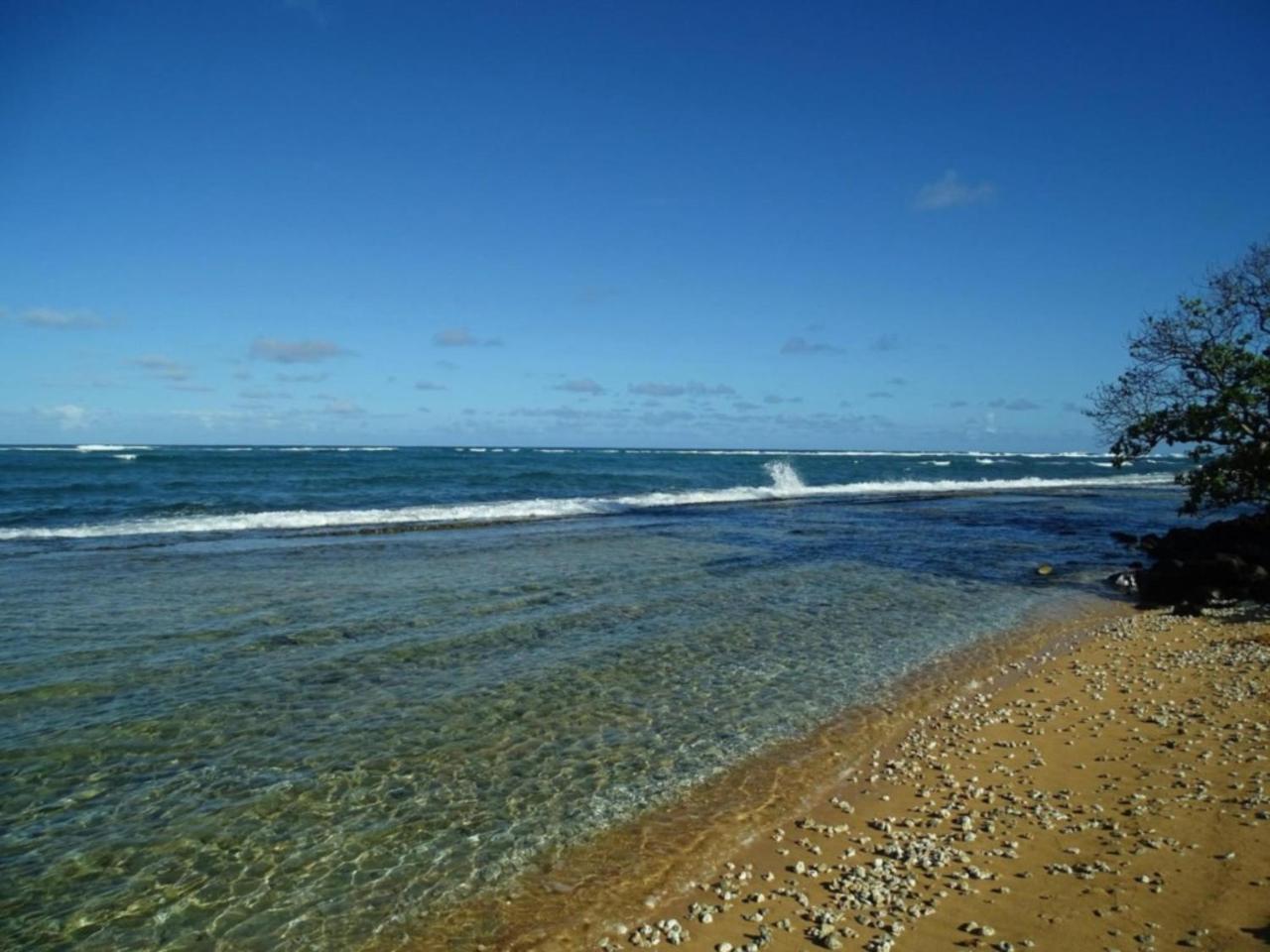 Kapaa Shores | Pristine Beach Kauai Bagian luar foto